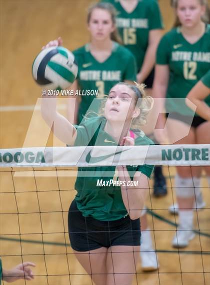 Thumbnail 1 in Boyd Buchanan @ Notre Dame  photogallery.
