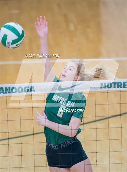 Thumbnail 1 in Boyd Buchanan @ Notre Dame  photogallery.