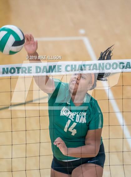 Thumbnail 3 in Boyd Buchanan @ Notre Dame  photogallery.