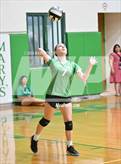Photo from the gallery "Mohave @ St. Mary's"