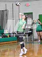 Photo from the gallery "Mohave @ St. Mary's"