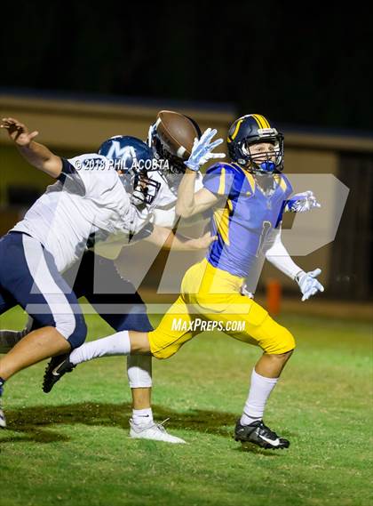Thumbnail 1 in Wilson vs Marshall photogallery.