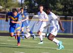 Photo from the gallery "Danville @ Crawfordsville"