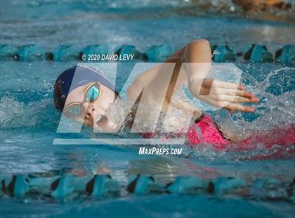 Thumbnail 1 in AIA D2 Swim Finals photogallery.