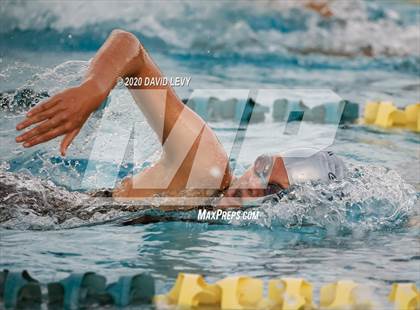 Thumbnail 2 in AIA D2 Swim Finals photogallery.