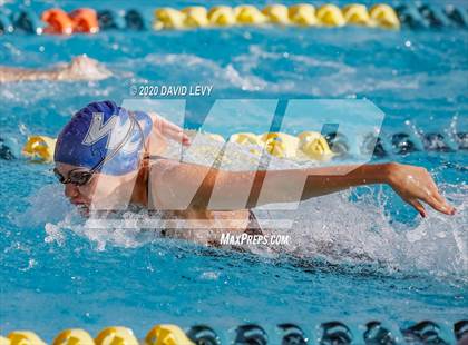 Thumbnail 3 in AIA D2 Swim Finals photogallery.