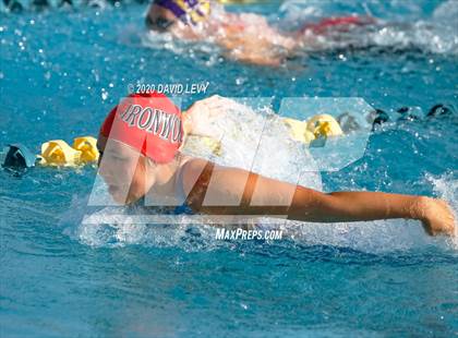 Thumbnail 1 in AIA D2 Swim Finals photogallery.