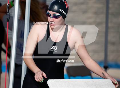 Thumbnail 1 in AIA D2 Swim Finals photogallery.