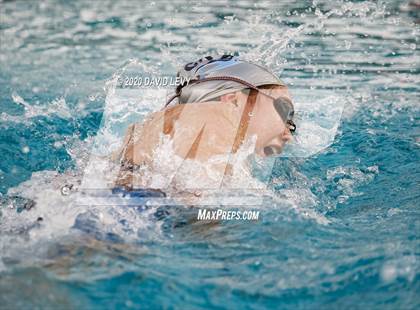 Thumbnail 3 in AIA D2 Swim Finals photogallery.
