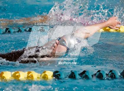 Thumbnail 1 in AIA D2 Swim Finals photogallery.
