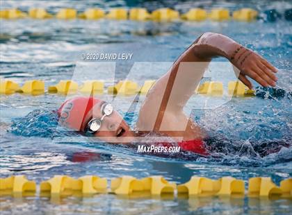 Thumbnail 2 in AIA D2 Swim Finals photogallery.