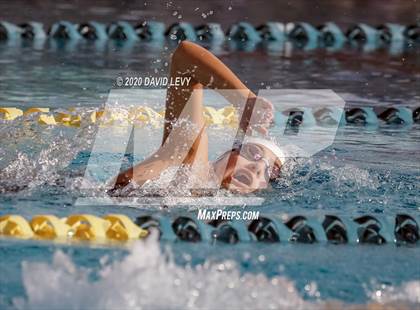 Thumbnail 3 in AIA D2 Swim Finals photogallery.