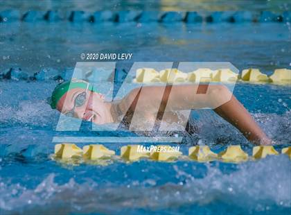 Thumbnail 2 in AIA D2 Swim Finals photogallery.