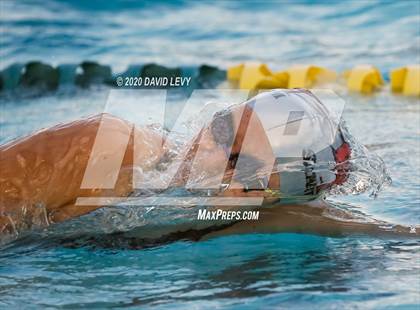 Thumbnail 1 in AIA D2 Swim Finals photogallery.