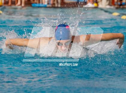 Thumbnail 3 in AIA D2 Swim Finals photogallery.