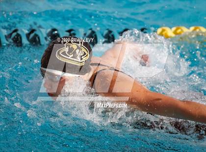 Thumbnail 3 in AIA D2 Swim Finals photogallery.