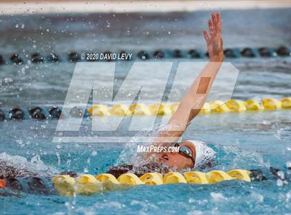 Thumbnail 1 in AIA D2 Swim Finals photogallery.