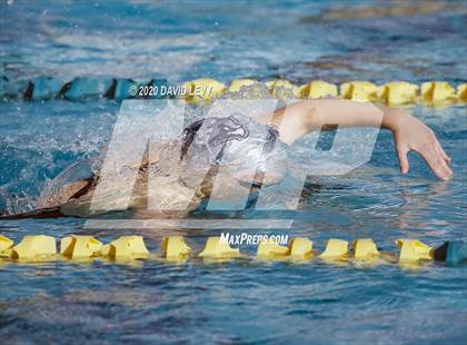 Thumbnail 1 in AIA D2 Swim Finals photogallery.