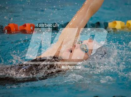 Thumbnail 2 in AIA D2 Swim Finals photogallery.