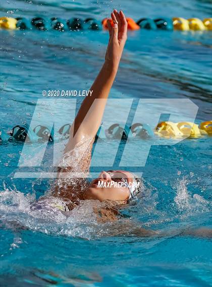 Thumbnail 3 in AIA D2 Swim Finals photogallery.