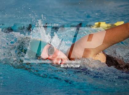 Thumbnail 1 in AIA D2 Swim Finals photogallery.