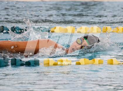 Thumbnail 1 in AIA D2 Swim Finals photogallery.