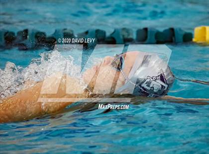 Thumbnail 1 in AIA D2 Swim Finals photogallery.