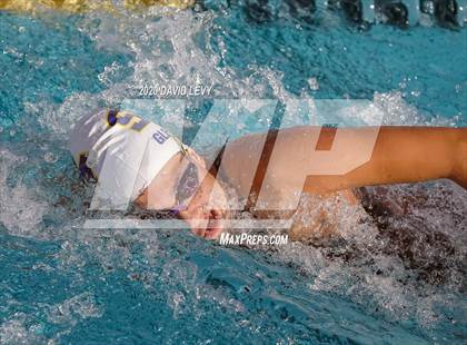 Thumbnail 2 in AIA D2 Swim Finals photogallery.
