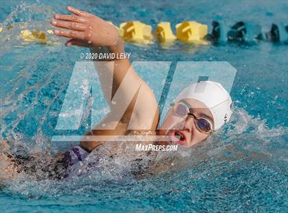 Thumbnail 1 in AIA D2 Swim Finals photogallery.