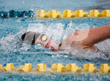 Thumbnail 3 in AIA D2 Swim Finals photogallery.