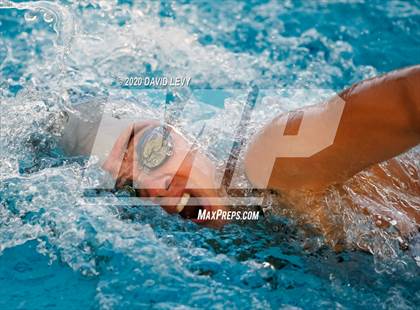 Thumbnail 3 in AIA D2 Swim Finals photogallery.