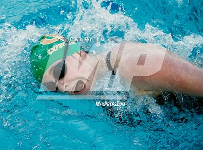 Thumbnail 3 in AIA D2 Swim Finals photogallery.