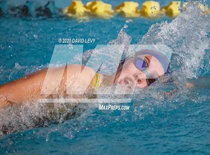 Thumbnail 3 in AIA D2 Swim Finals photogallery.
