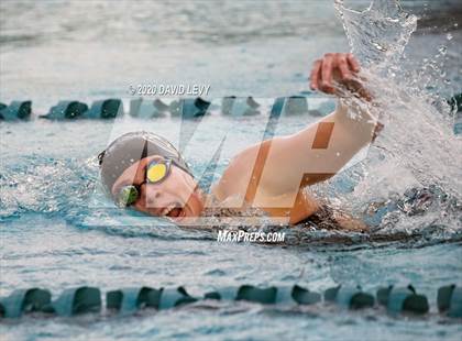 Thumbnail 2 in AIA D2 Swim Finals photogallery.