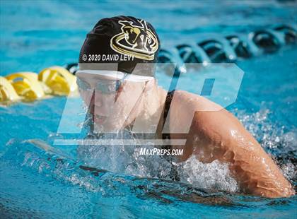 Thumbnail 2 in AIA D2 Swim Finals photogallery.