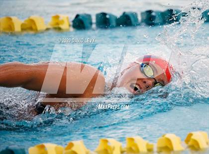 Thumbnail 3 in AIA D2 Swim Finals photogallery.