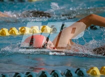 Thumbnail 3 in AIA D2 Swim Finals photogallery.