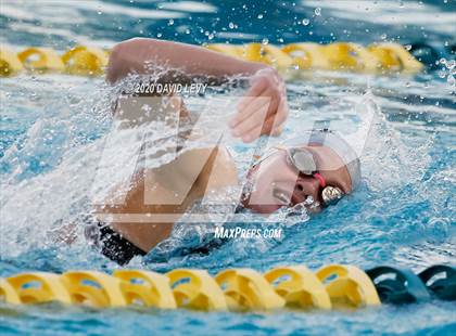 Thumbnail 1 in AIA D2 Swim Finals photogallery.