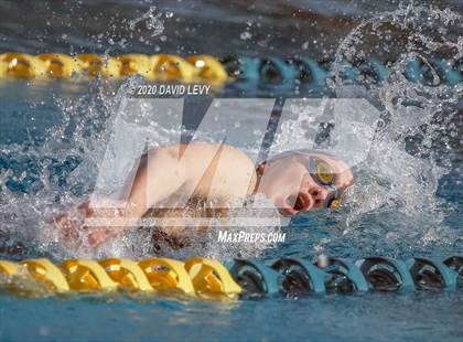 Thumbnail 3 in AIA D2 Swim Finals photogallery.