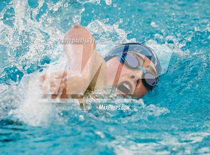 Thumbnail 1 in AIA D2 Swim Finals photogallery.