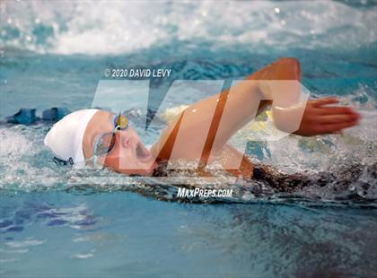 Thumbnail 3 in AIA D2 Swim Finals photogallery.
