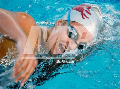 Thumbnail 3 in AIA D2 Swim Finals photogallery.