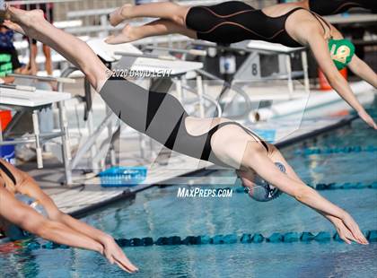 Thumbnail 1 in AIA D2 Swim Finals photogallery.