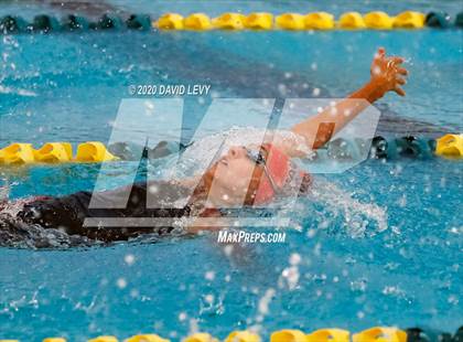 Thumbnail 3 in AIA D2 Swim Finals photogallery.