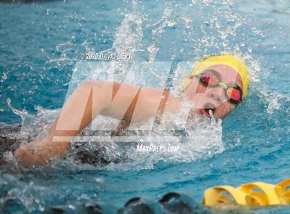 Thumbnail 2 in AIA D2 Swim Finals photogallery.
