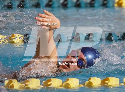 Thumbnail 3 in AIA D2 Swim Finals photogallery.