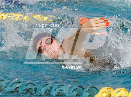 Thumbnail 2 in AIA D2 Swim Finals photogallery.