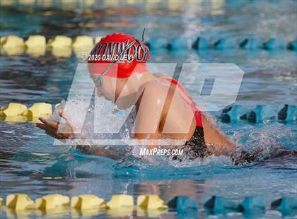 Thumbnail 1 in AIA D2 Swim Finals photogallery.