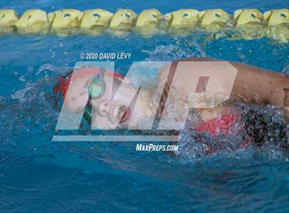 Thumbnail 3 in AIA D2 Swim Finals photogallery.