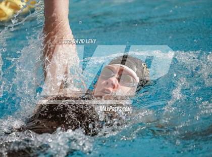Thumbnail 3 in AIA D2 Swim Finals photogallery.